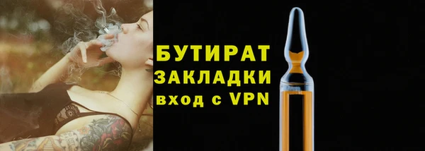 хмурый Арсеньев