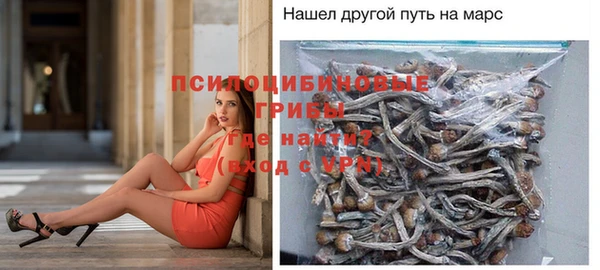 прущие крисы Алексеевка
