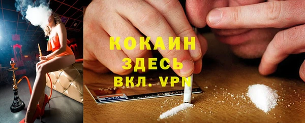 стафф Алексин