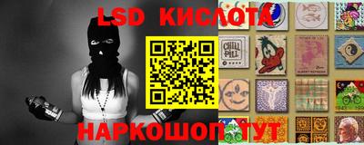 ПСИЛОЦИБИНОВЫЕ ГРИБЫ Гусев
