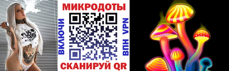 Псилоцибиновые грибы Psilocybine cubensis  Пушкино 