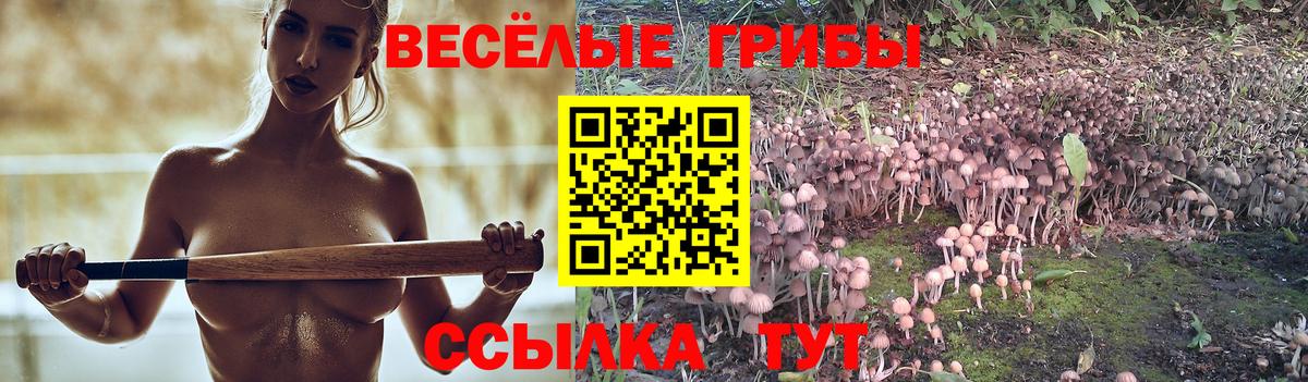 Псилоцибиновые грибы прущие грибы Пушкино