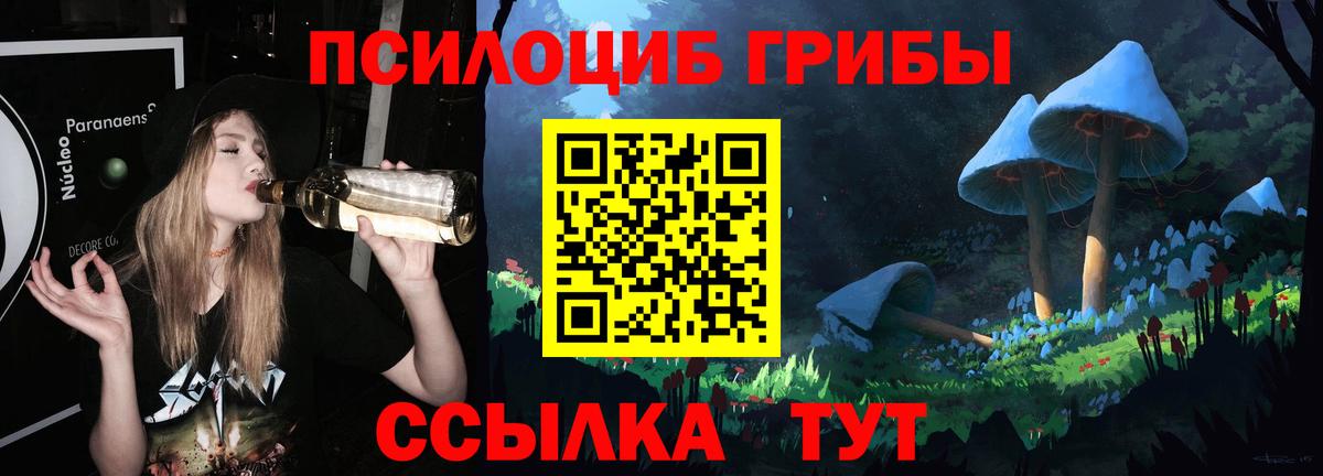 Пушкино  Псилоцибиновые грибы Cubensis  Вход с VPN 